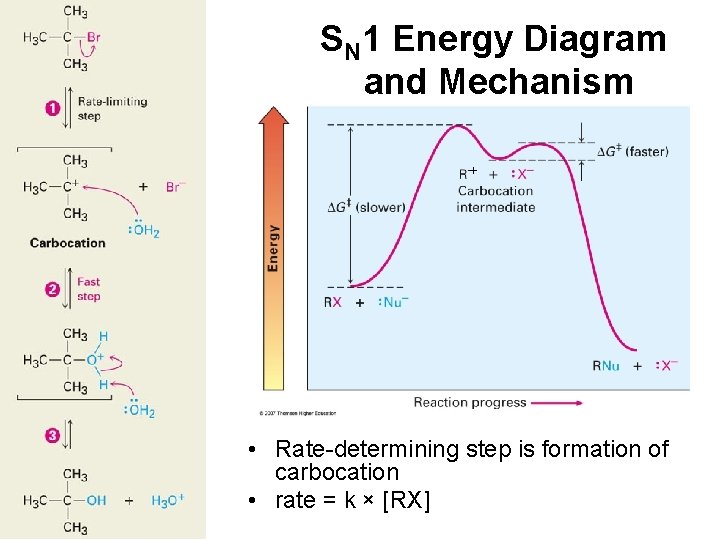 SN 1 Energy Diagram and Mechanism + • Rate-determining step is formation of carbocation