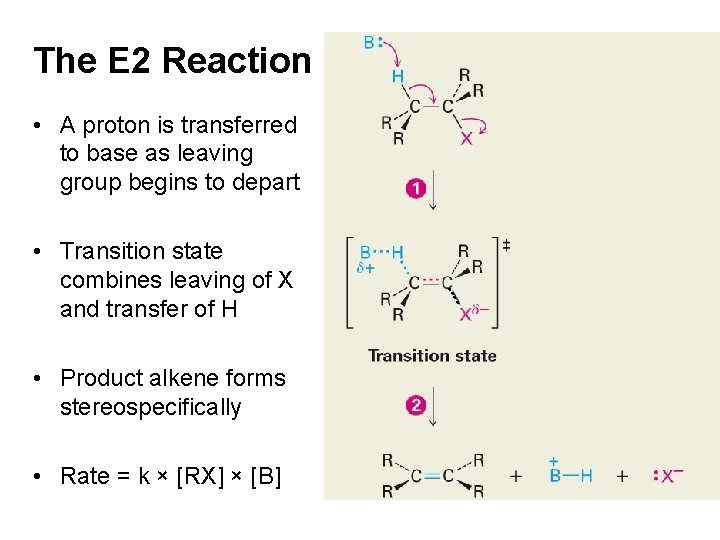 The E 2 Reaction • A proton is transferred to base as leaving group