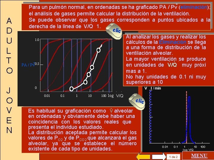 A D U L T O J O V E N Para un pulmón