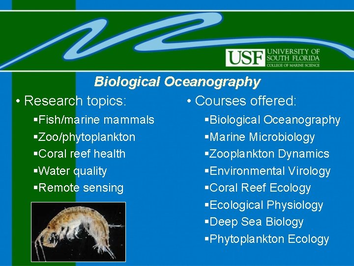 Biological Oceanography • Research topics: • Courses offered: §Fish/marine mammals §Zoo/phytoplankton §Coral reef health
