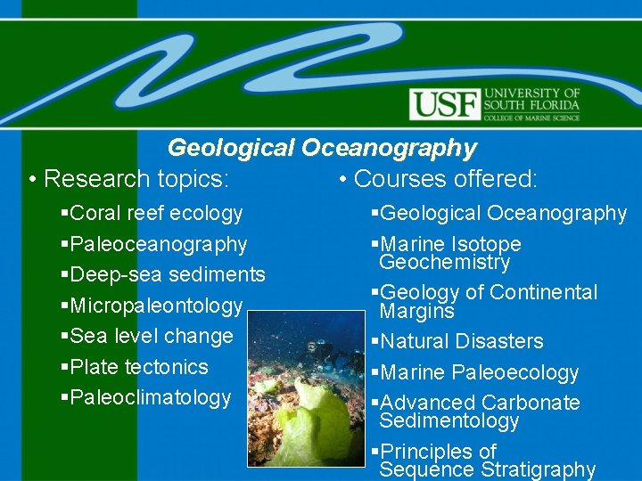 Geological Oceanography • Research topics: • Courses offered: §Coral reef ecology §Paleoceanography §Deep-sea sediments