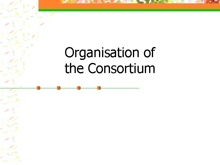 Organisation of the Consortium 