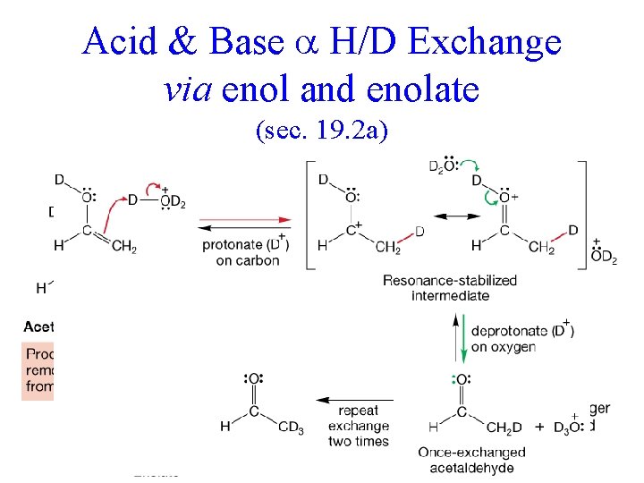 Acid & Base H/D Exchange via enol and enolate (sec. 19. 2 a) 