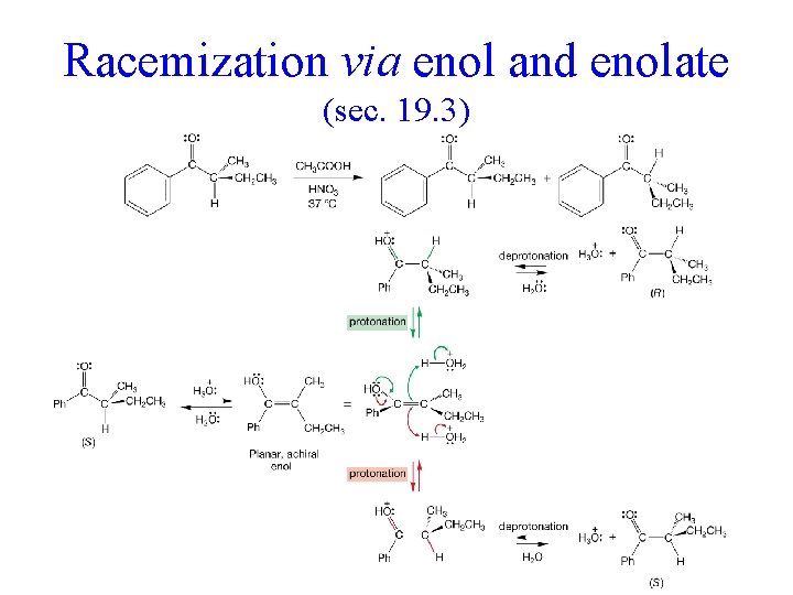 Racemization via enol and enolate (sec. 19. 3) 