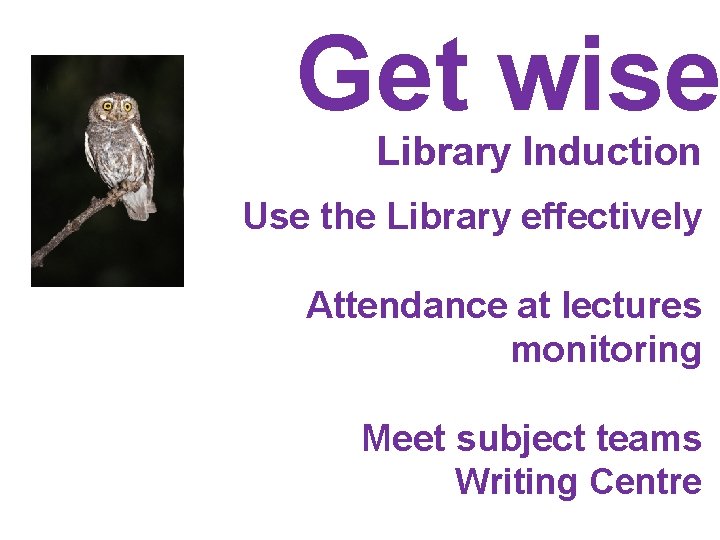 Get wise Library Induction Use the Library effectively Attendance at lectures monitoring Meet subject