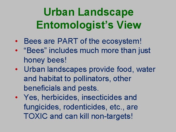Urban Landscape Entomologist’s View • Bees are PART of the ecosystem! • “Bees” includes