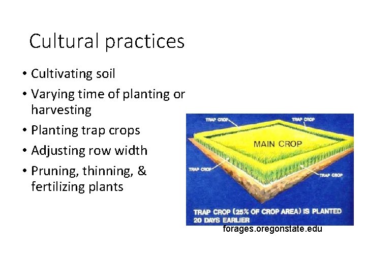 Cultural practices • Cultivating soil • Varying time of planting or harvesting • Planting Cultural practices • Cultivating soil • Varying time of planting or harvesting • Planting