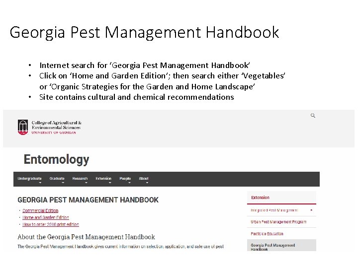 Georgia Pest Management Handbook • Internet search for ‘Georgia Pest Management Handbook’ • Click Georgia Pest Management Handbook • Internet search for ‘Georgia Pest Management Handbook’ • Click