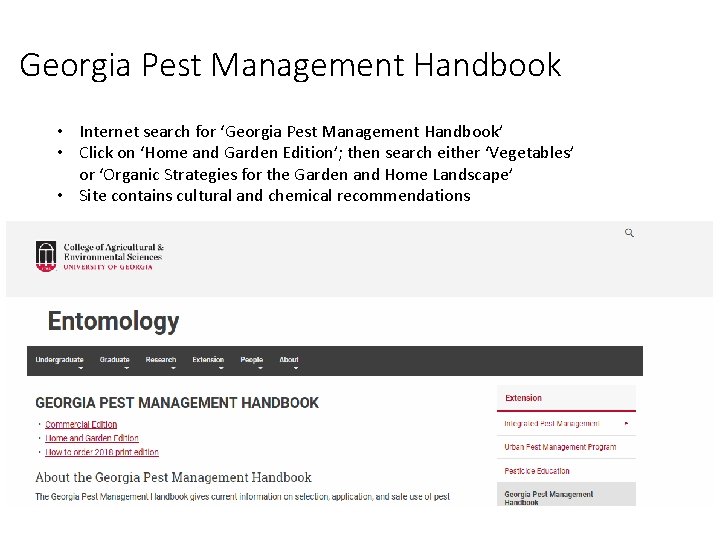 Georgia Pest Management Handbook • Internet search for ‘Georgia Pest Management Handbook’ • Click