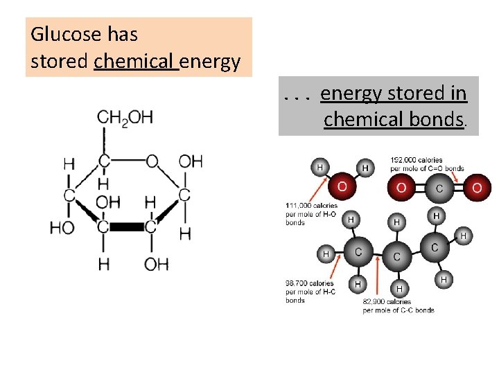 Glucose has stored chemical energy . . . energy stored in chemical bonds. 