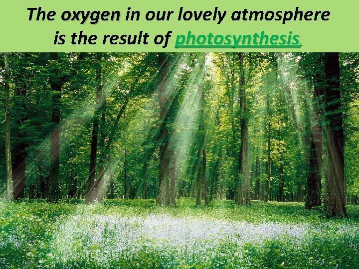 The oxygen in our lovely atmosphere is the result of photosynthesis. 