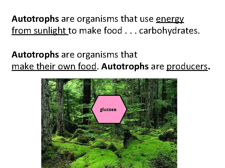 Autotrophs are organisms that use energy from sunlight to make food. . . carbohydrates.