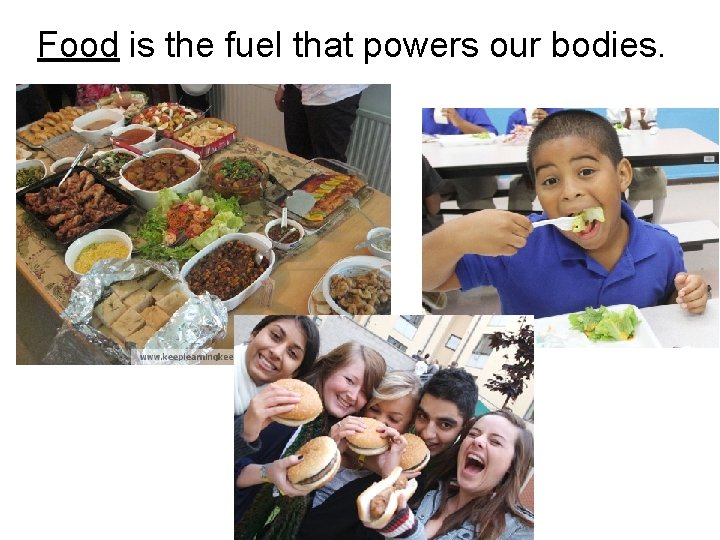 Food is the fuel that powers our bodies. 