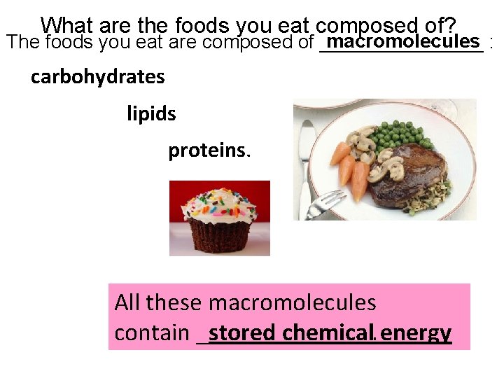 What are the foods you eat composed of? macromolecules : The foods you eat