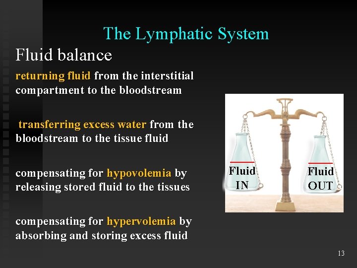 The Lymphatic System Fluid balance returning fluid from the interstitial compartment to the bloodstream