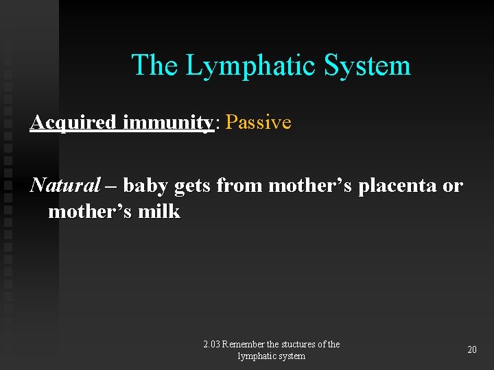 The Lymphatic System Acquired immunity: Passive Natural – baby gets from mother’s placenta or