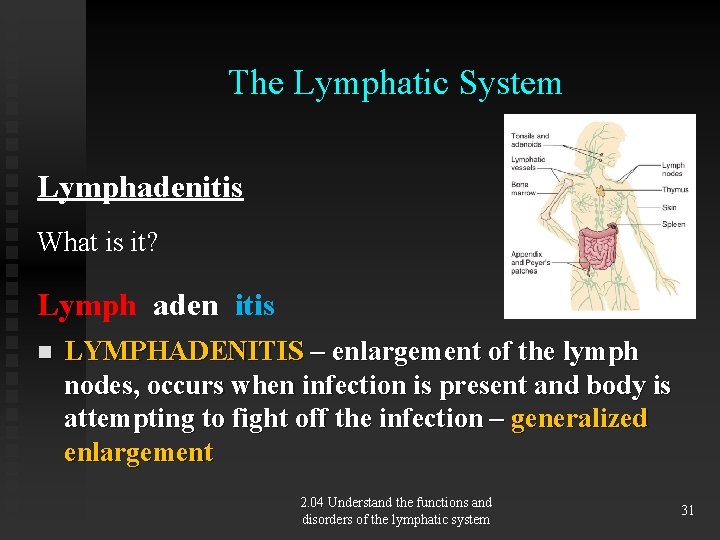 The Lymphatic System Lymphadenitis What is it? Lymph aden itis n LYMPHADENITIS – enlargement