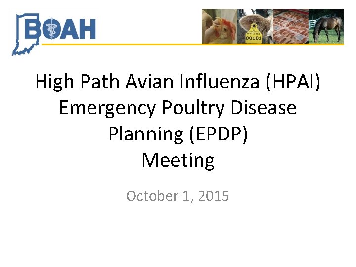 High Path Avian Influenza (HPAI) Emergency Poultry Disease Planning (EPDP) Meeting October 1, 2015