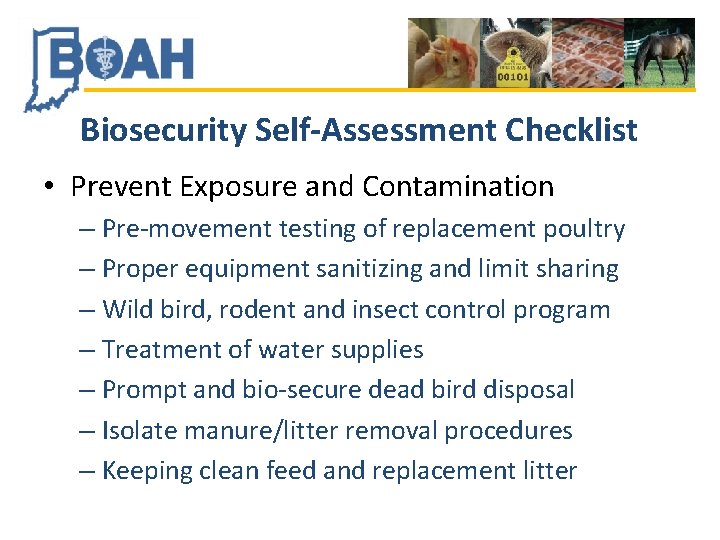 Biosecurity Self-Assessment Checklist • Prevent Exposure and Contamination – Pre-movement testing of replacement poultry