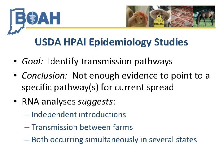 USDA HPAI Epidemiology Studies • Goal: Identify transmission pathways • Conclusion: Not enough evidence