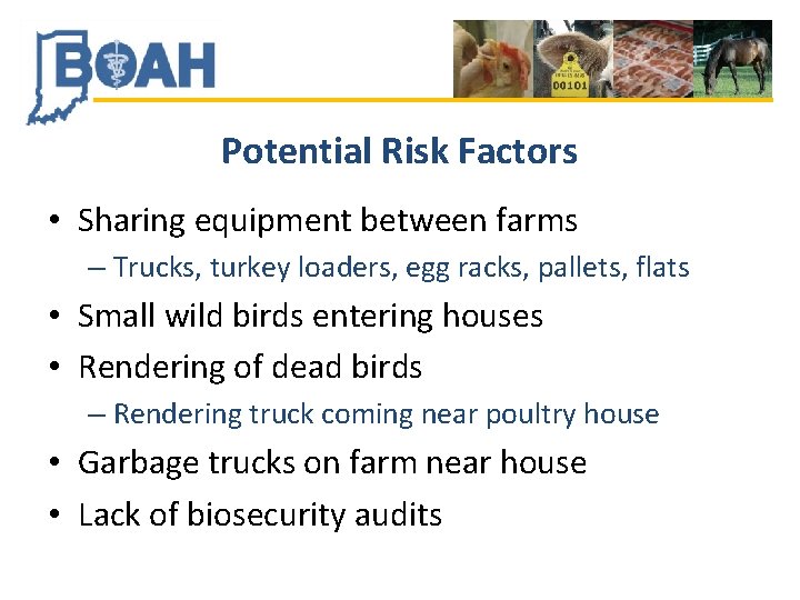 Potential Risk Factors • Sharing equipment between farms – Trucks, turkey loaders, egg racks,