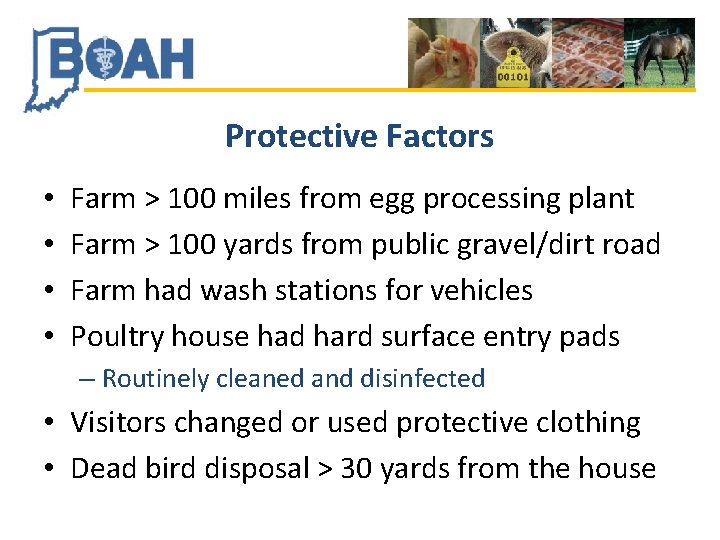 Protective Factors • • Farm > 100 miles from egg processing plant Farm >