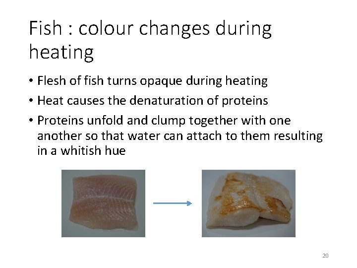 Fish : colour changes during heating • Flesh of fish turns opaque during heating