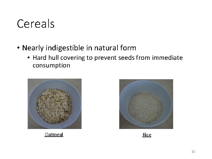 Cereals • Nearly indigestible in natural form • Hard hull covering to prevent seeds