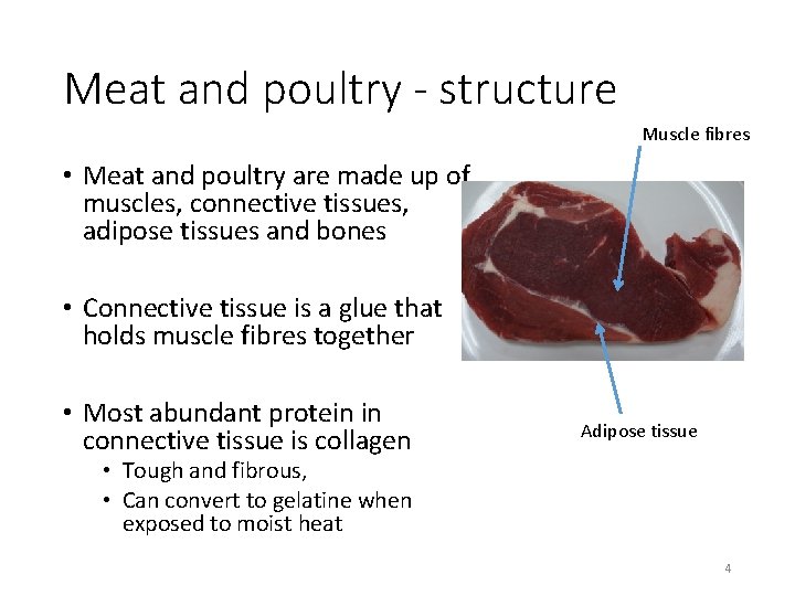 Meat and poultry - structure Muscle fibres • Meat and poultry are made up