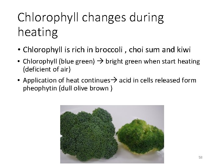 Chlorophyll changes during heating • Chlorophyll is rich in broccoli , choi sum and