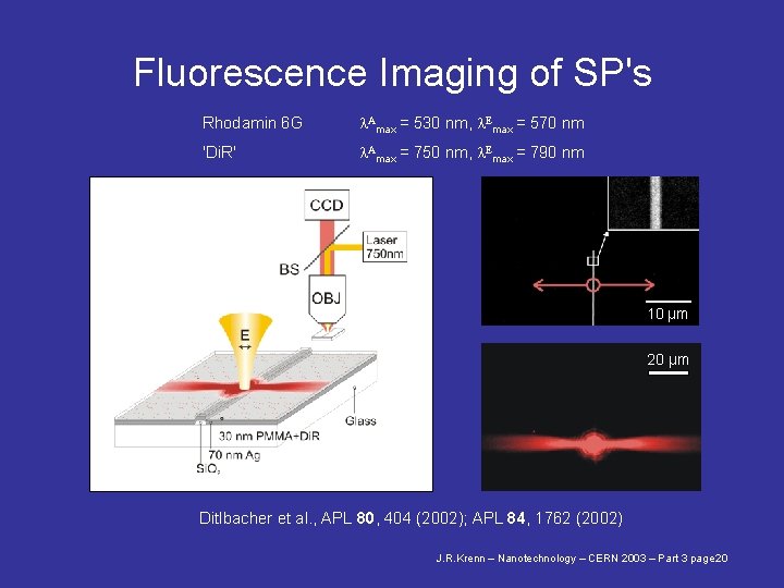 Fluorescence Imaging of SP's Rhodamin 6 G l. Amax = 530 nm, l. Emax