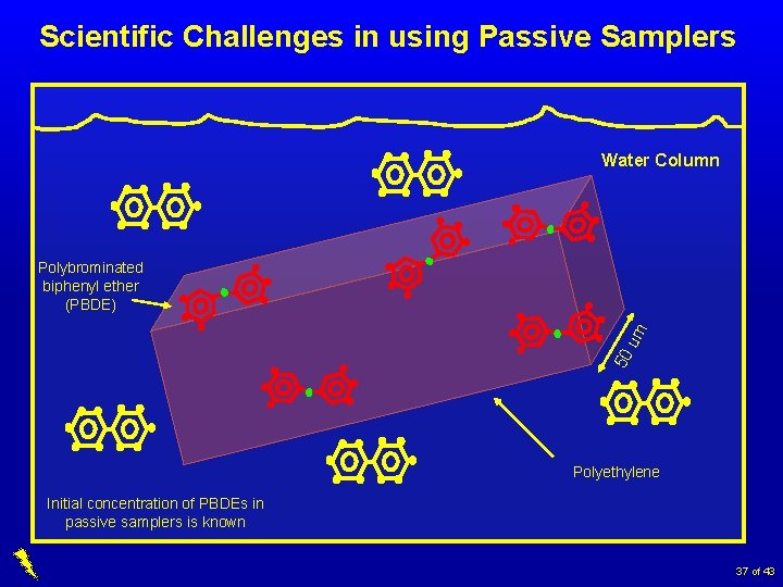 Scientific Challenges in using Passive Samplers Water Column 50 um Polybrominated biphenyl ether (PBDE)