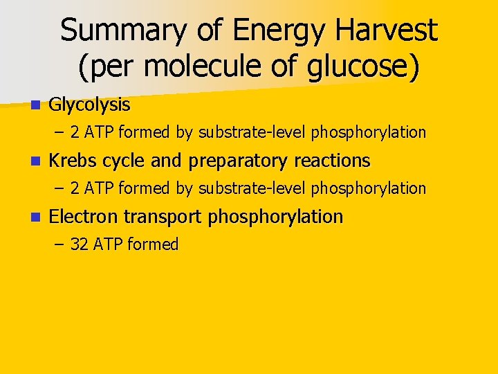 Summary of Energy Harvest (per molecule of glucose) n Glycolysis – 2 ATP formed