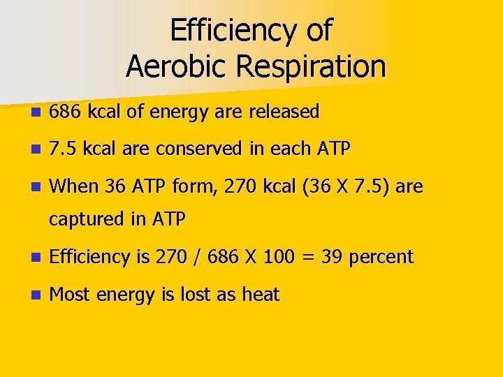 Efficiency of Aerobic Respiration n 686 kcal of energy are released n 7. 5
