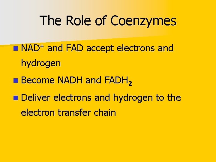 The Role of Coenzymes n NAD+ and FAD accept electrons and hydrogen n Become