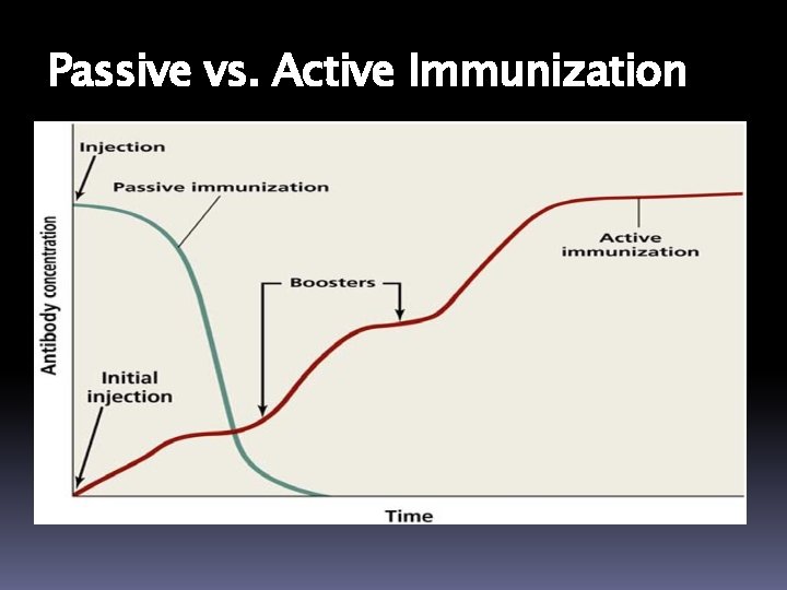 Passive vs. Active Immunization 