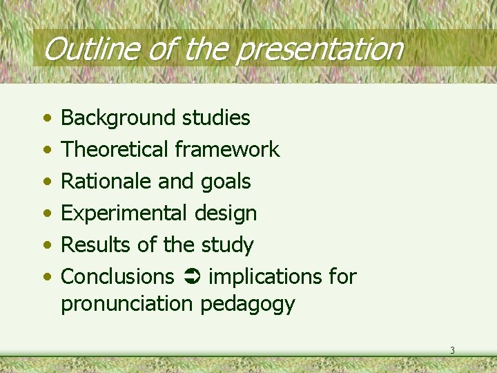 Outline of the presentation • • • Background studies Theoretical framework Rationale and goals