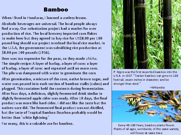 Bamboo When I lived in Honduras, I learned a uselesson. Alcoholic beverages are universal. Bamboo When I lived in Honduras, I learned a uselesson. Alcoholic beverages are universal.