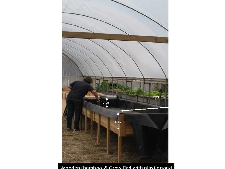 Gro 40 cm 16 in Base is 4 feet by 8 feet sheet of Gro 40 cm 16 in Base is 4 feet by 8 feet sheet of