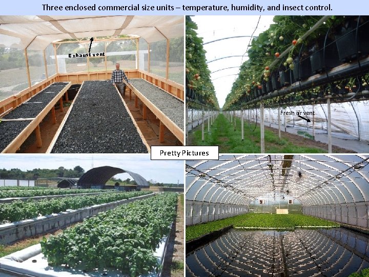 Three enclosed commercial size units – temperature, humidity, and insect control. Vent Exhaust vent Three enclosed commercial size units – temperature, humidity, and insect control. Vent Exhaust vent