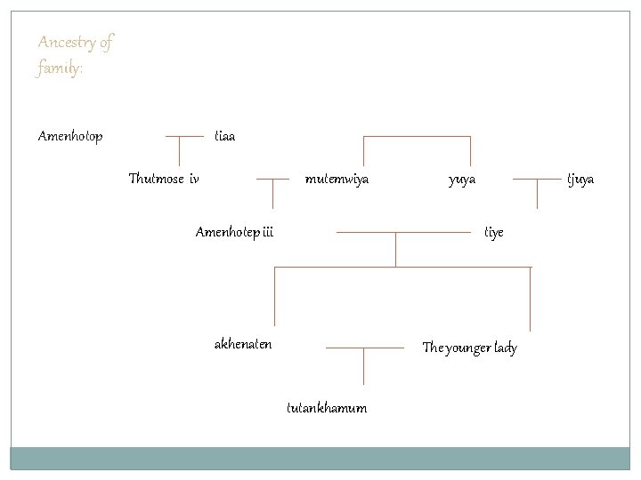 Ancestry of family: Amenhotop tiaa Thutmose iv mutemwiya Amenhotep iii yuya tjuya tiye akhenaten