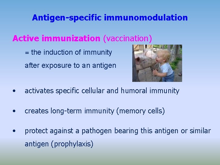 Antigen-specific immunomodulation Active immunization (vaccination) = the induction of immunity after exposure to an