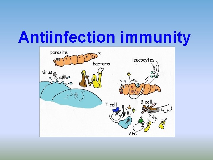 Antiinfection immunity 