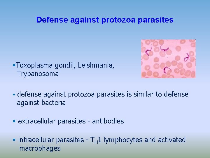 Defense against protozoa parasites Toxoplasma gondii, Leishmania, Trypanosoma defense against protozoa parasites is similar