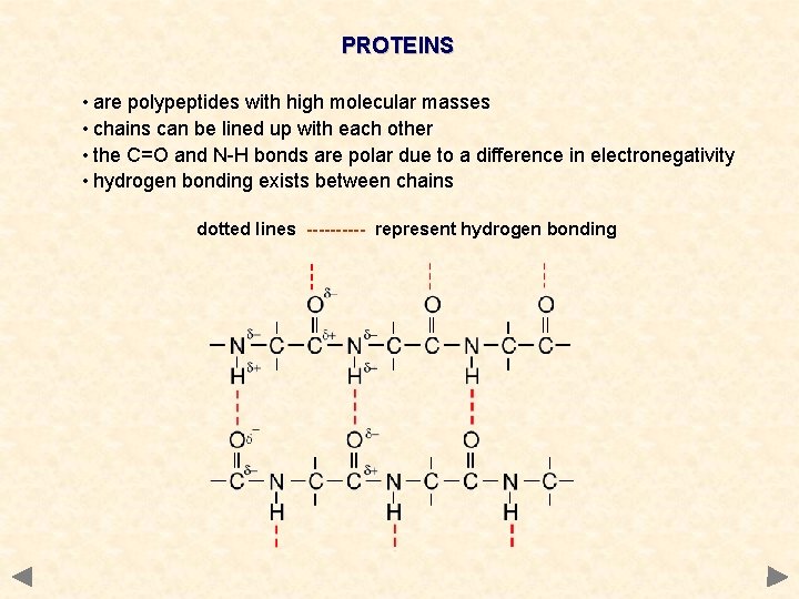 PROTEINS • are polypeptides with high molecular masses • chains can be lined up