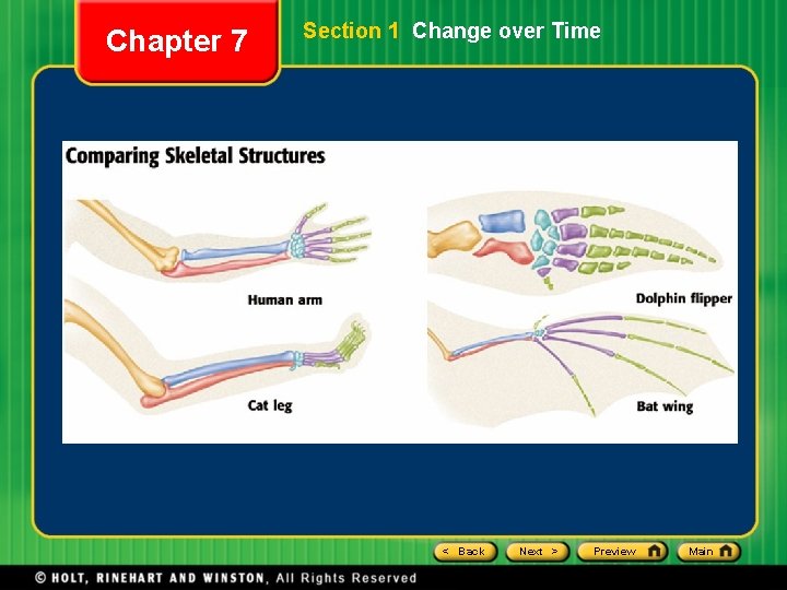 Chapter 7 Section 1 Change over Time < Back Next > Preview Main 