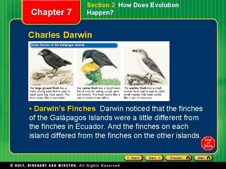 Chapter 7 Section 2 How Does Evolution Happen? Charles Darwin • Darwin’s Finches Darwin