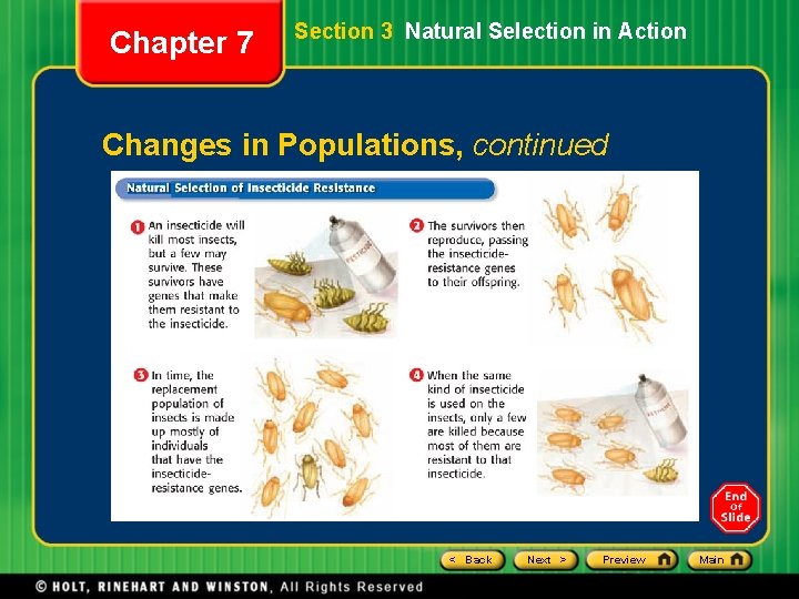 Chapter 7 Section 3 Natural Selection in Action Changes in Populations, continued < Back