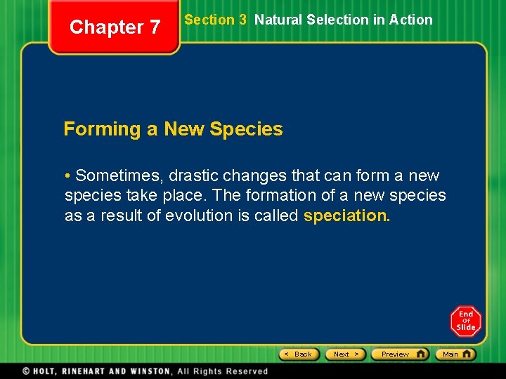 Chapter 7 Section 3 Natural Selection in Action Forming a New Species • Sometimes,