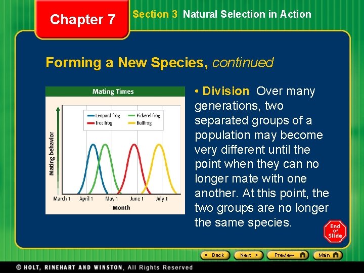 Chapter 7 Section 3 Natural Selection in Action Forming a New Species, continued •